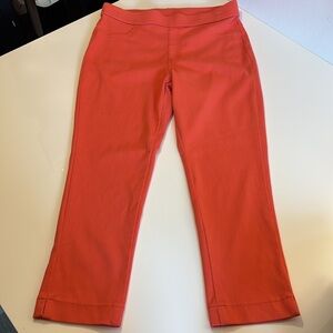Women’s Time and Tru capris sz L